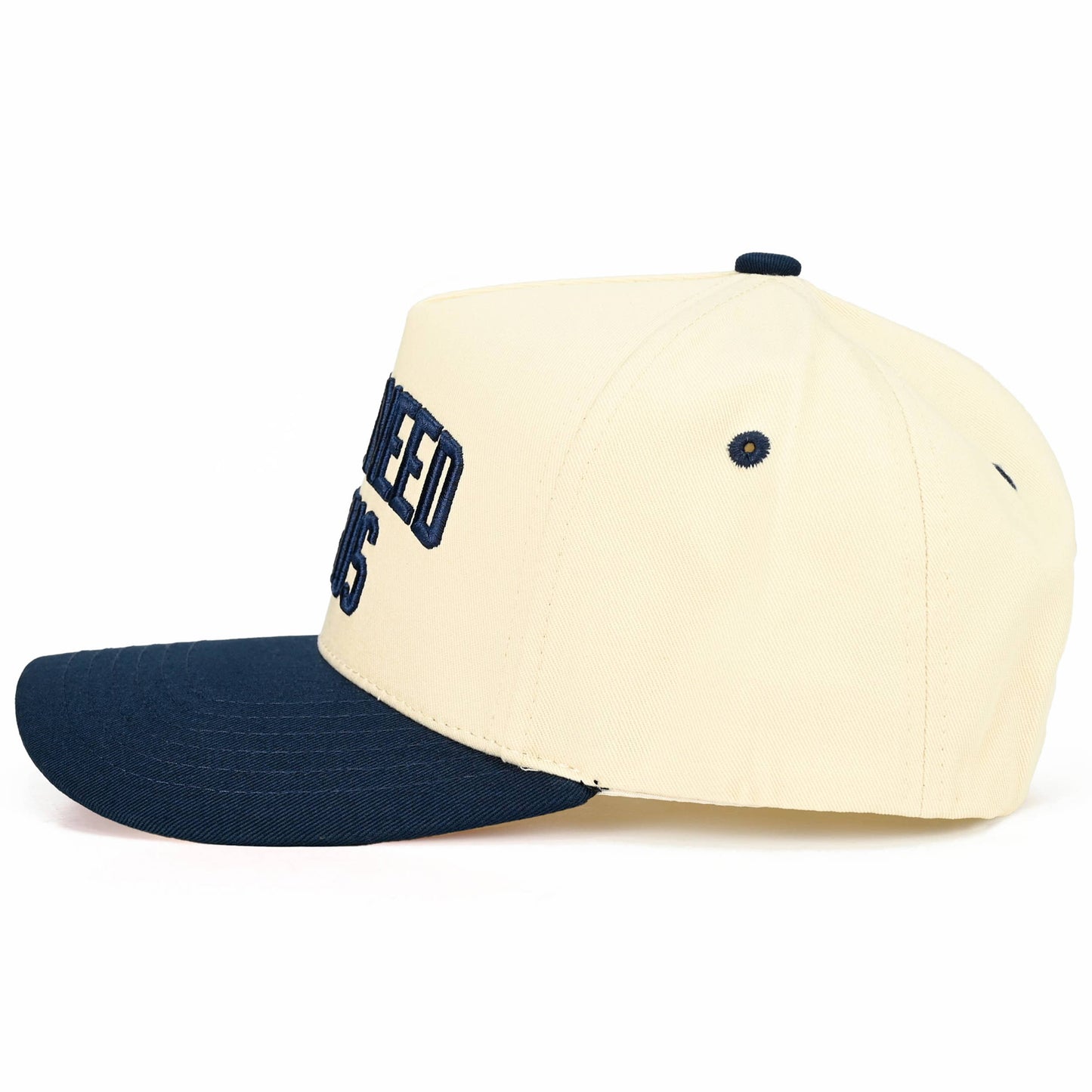Y'ALL NEED JESUS Embroidered Letter Two Tone Trucker Hat: Beige