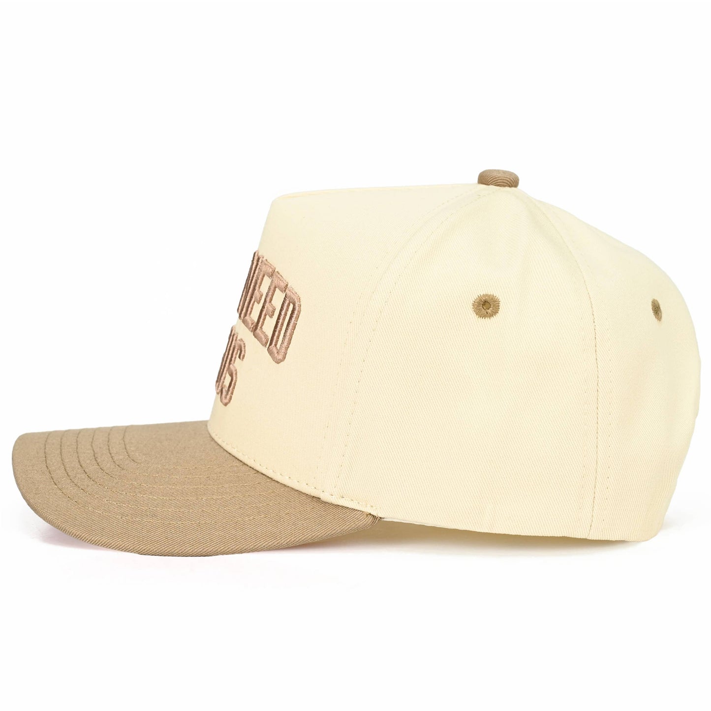 Y'ALL NEED JESUS Embroidered Letter Two Tone Trucker Hat: Beige