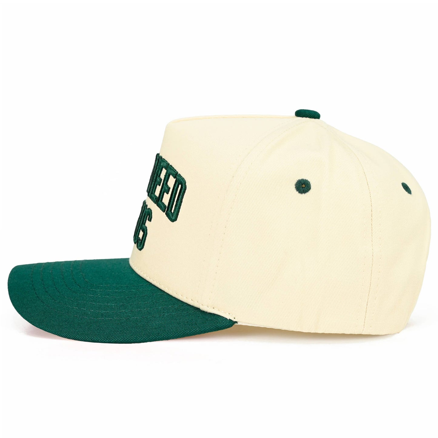 Y'ALL NEED JESUS Embroidered Letter Two Tone Trucker Hat: Beige
