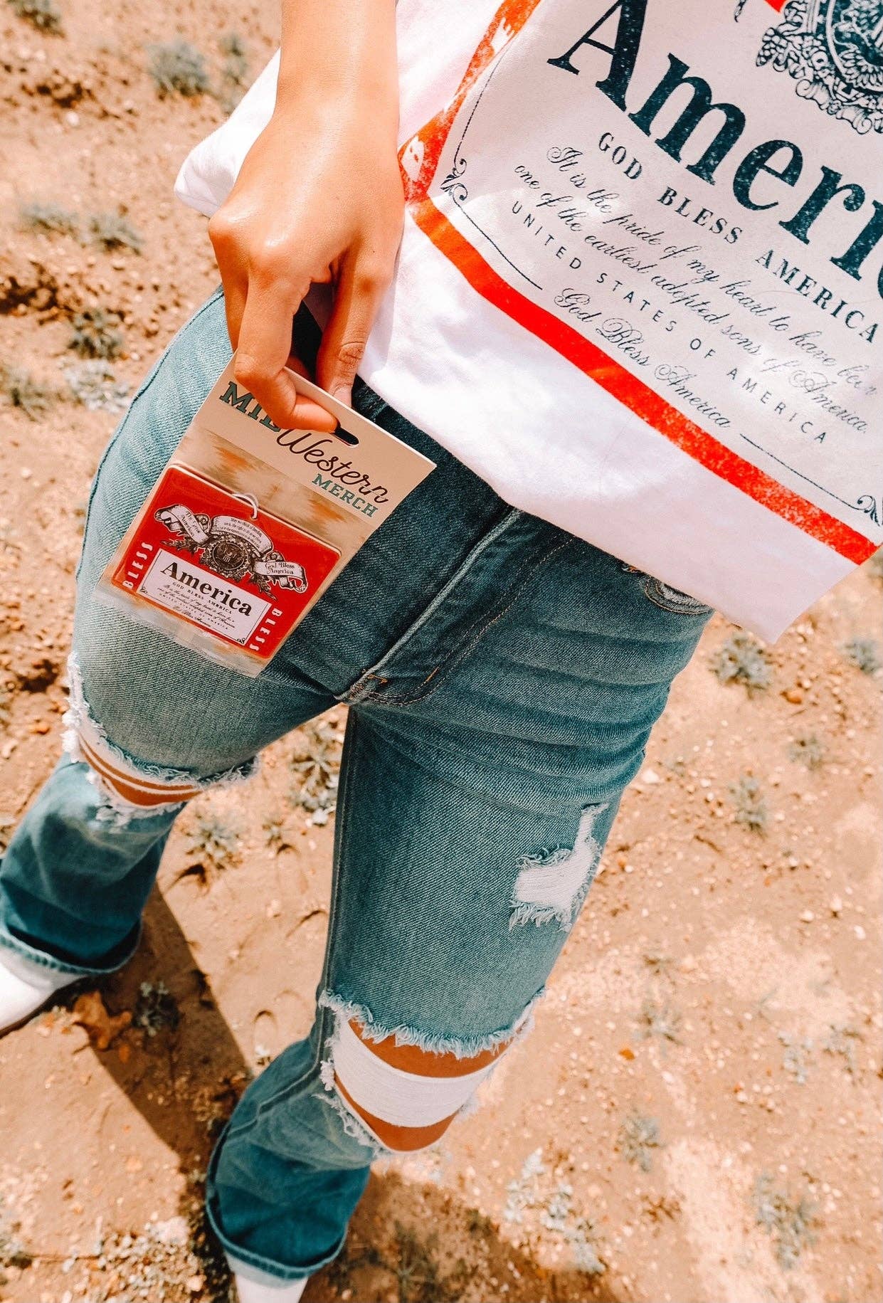 America's Beer Car Freshie