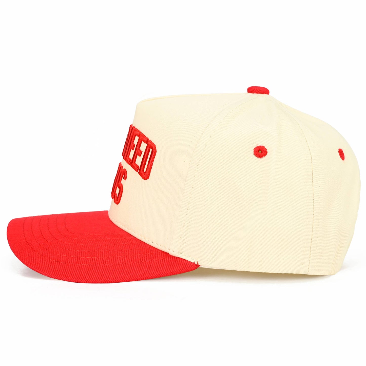 Y'ALL NEED JESUS Embroidered Letter Two Tone Trucker Hat: Beige