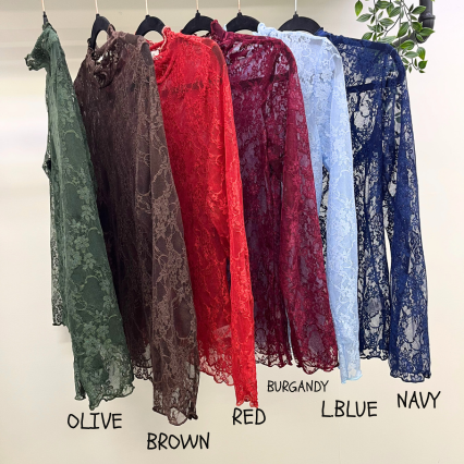 Floral Print Lace Long Sleeve Mesh/Lace Top