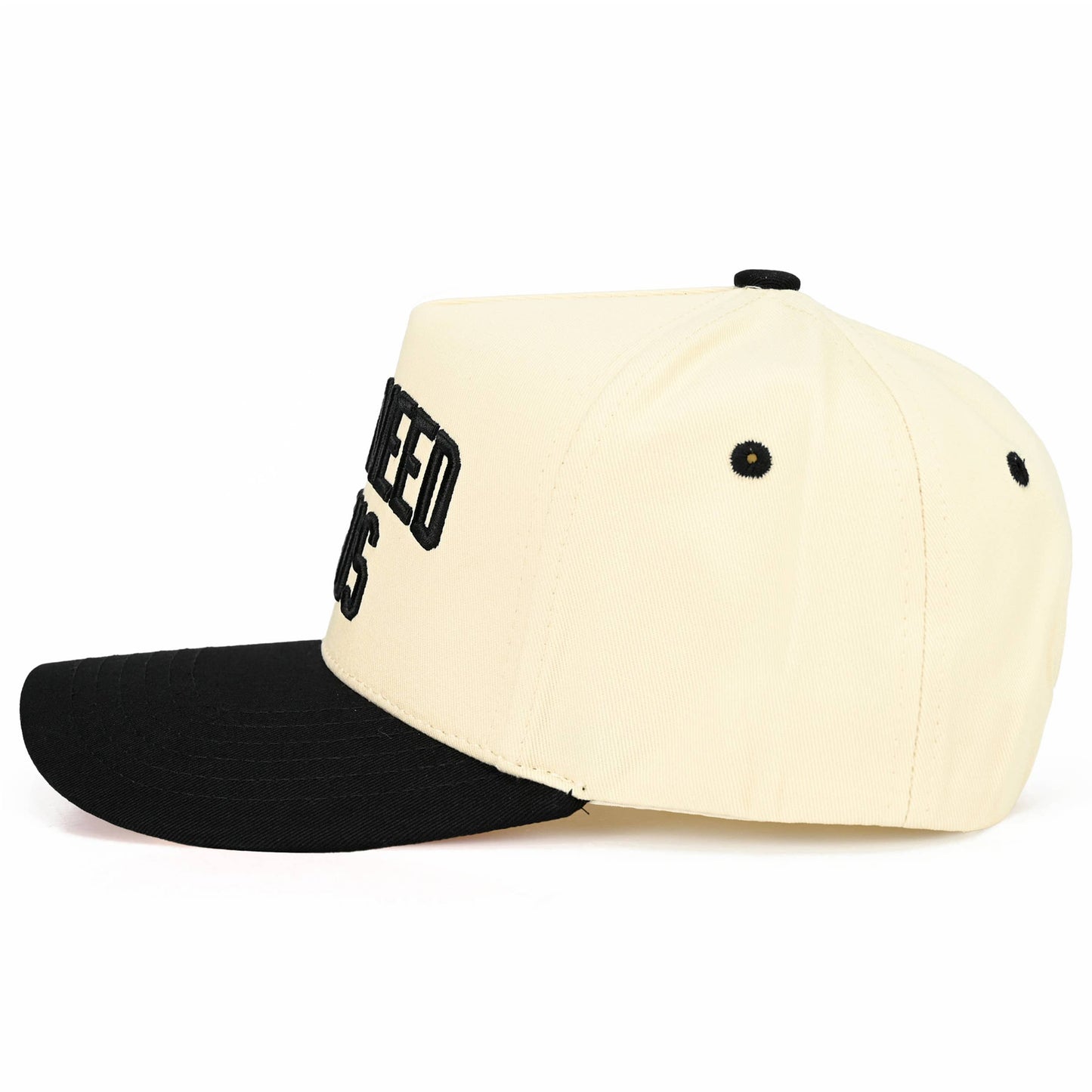 Y'ALL NEED JESUS Embroidered Letter Two Tone Trucker Hat: Beige