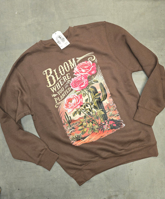 Desert Bloom Crewneck Sweatshirt